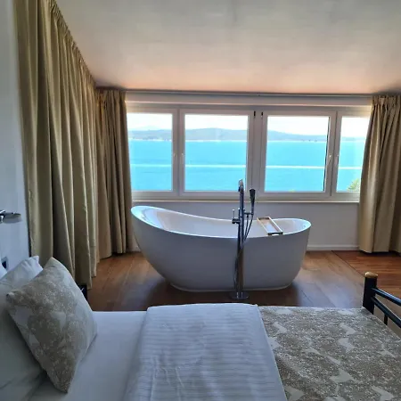 Anabela Villa